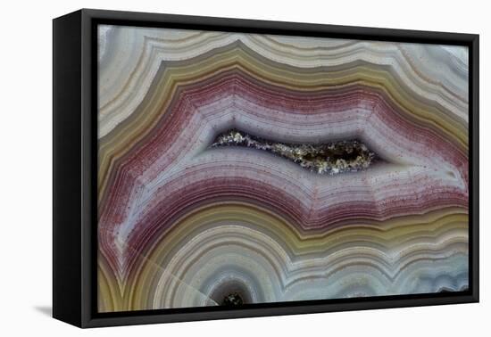 Banded Agate, Sammamish, Washington-Darrell Gulin-Framed Premier Image Canvas