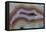 Banded Agate, Sammamish, Washington-Darrell Gulin-Framed Premier Image Canvas