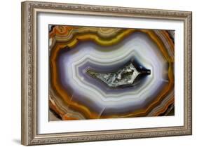 Banded Agate, Sammamish, Washington-Darrell Gulin-Framed Photographic Print