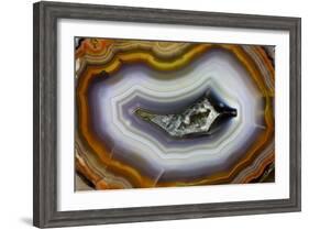 Banded Agate, Sammamish, Washington-Darrell Gulin-Framed Photographic Print