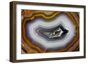 Banded Agate, Sammamish, Washington-Darrell Gulin-Framed Photographic Print