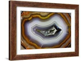 Banded Agate, Sammamish, Washington-Darrell Gulin-Framed Photographic Print