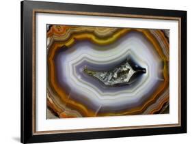 Banded Agate, Sammamish, Washington-Darrell Gulin-Framed Photographic Print