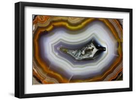 Banded Agate, Sammamish, Washington-Darrell Gulin-Framed Photographic Print