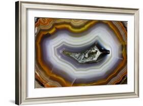 Banded Agate, Sammamish, Washington-Darrell Gulin-Framed Photographic Print