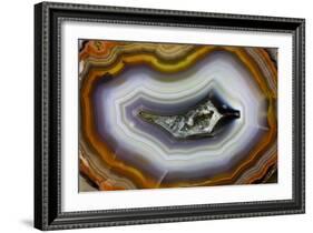Banded Agate, Sammamish, Washington-Darrell Gulin-Framed Photographic Print