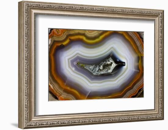 Banded Agate, Sammamish, Washington-Darrell Gulin-Framed Photographic Print