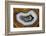 Banded Agate, Sammamish, Washington-Darrell Gulin-Framed Photographic Print