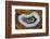 Banded Agate, Sammamish, Washington-Darrell Gulin-Framed Photographic Print