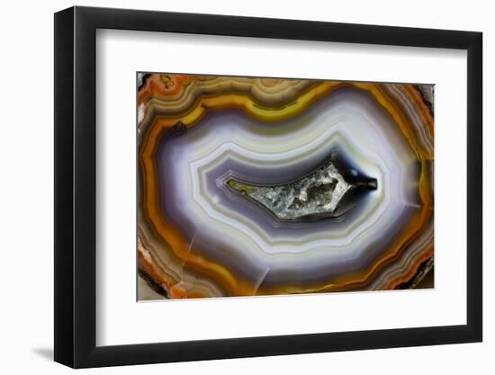 Banded Agate, Sammamish, Washington-Darrell Gulin-Framed Photographic Print