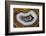 Banded Agate, Sammamish, Washington-Darrell Gulin-Framed Photographic Print