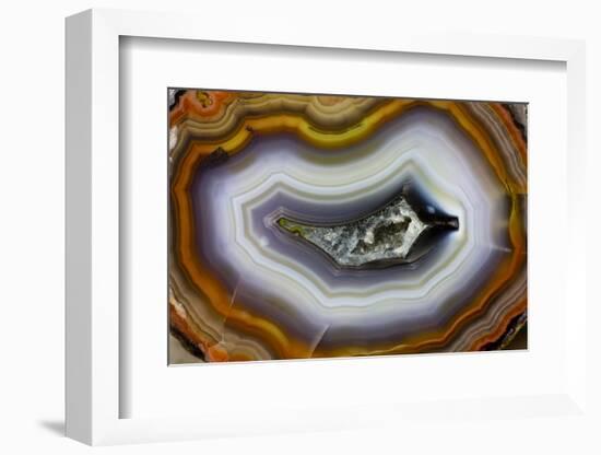 Banded Agate, Sammamish, Washington-Darrell Gulin-Framed Photographic Print