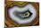 Banded Agate, Sammamish, Washington-Darrell Gulin-Mounted Photographic Print