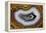 Banded Agate, Sammamish, Washington-Darrell Gulin-Framed Premier Image Canvas