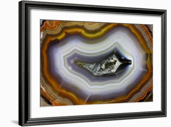 Banded Agate, Sammamish, Washington-Darrell Gulin-Framed Photographic Print