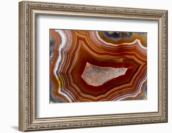 Banded Agate, Sammamish, Washington-Darrell Gulin-Framed Photographic Print