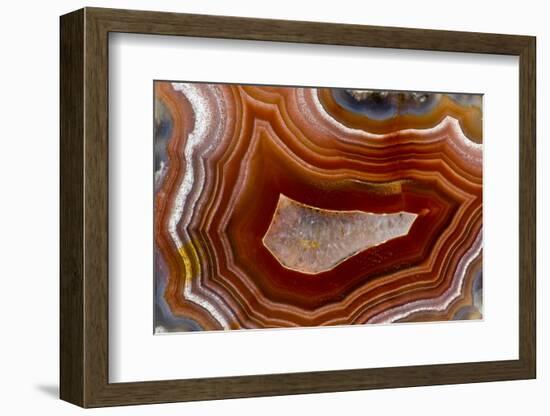 Banded Agate, Sammamish, Washington-Darrell Gulin-Framed Photographic Print