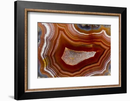 Banded Agate, Sammamish, Washington-Darrell Gulin-Framed Photographic Print