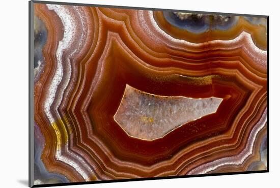 Banded Agate, Sammamish, Washington-Darrell Gulin-Mounted Photographic Print