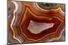 Banded Agate, Sammamish, Washington-Darrell Gulin-Mounted Photographic Print