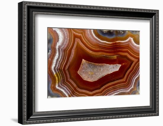 Banded Agate, Sammamish, Washington-Darrell Gulin-Framed Photographic Print