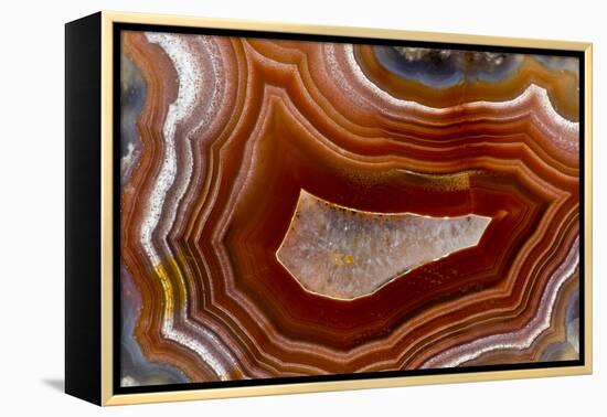 Banded Agate, Sammamish, Washington-Darrell Gulin-Framed Premier Image Canvas