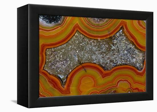 Banded Agate, Sammamish, Washington-Darrell Gulin-Framed Premier Image Canvas