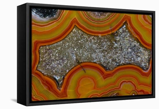 Banded Agate, Sammamish, Washington-Darrell Gulin-Framed Premier Image Canvas