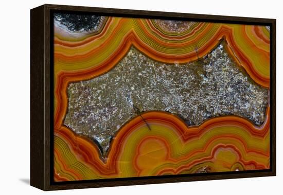 Banded Agate, Sammamish, Washington-Darrell Gulin-Framed Premier Image Canvas