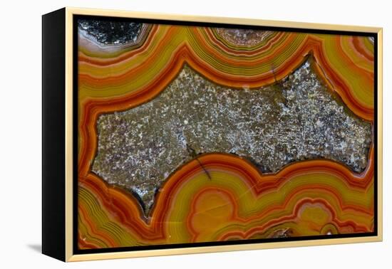 Banded Agate, Sammamish, Washington-Darrell Gulin-Framed Premier Image Canvas