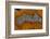 Banded Agate, Sammamish, Washington-Darrell Gulin-Framed Photographic Print