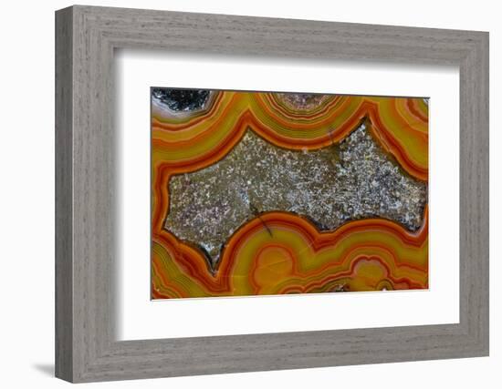 Banded Agate, Sammamish, Washington-Darrell Gulin-Framed Photographic Print