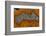 Banded Agate, Sammamish, Washington-Darrell Gulin-Framed Photographic Print