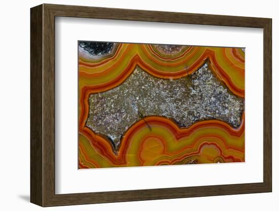 Banded Agate, Sammamish, Washington-Darrell Gulin-Framed Photographic Print