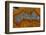 Banded Agate, Sammamish, Washington-Darrell Gulin-Framed Photographic Print