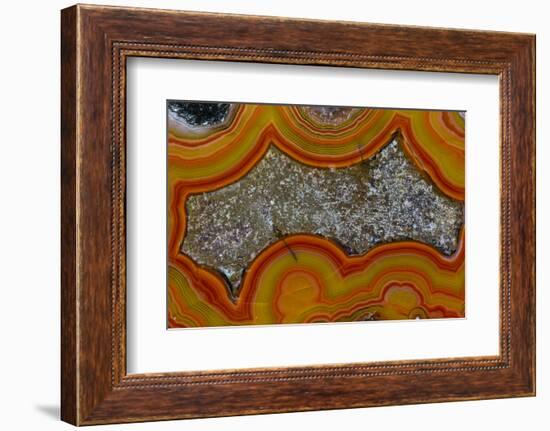 Banded Agate, Sammamish, Washington-Darrell Gulin-Framed Photographic Print