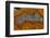 Banded Agate, Sammamish, Washington-Darrell Gulin-Framed Photographic Print