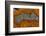 Banded Agate, Sammamish, Washington-Darrell Gulin-Framed Photographic Print