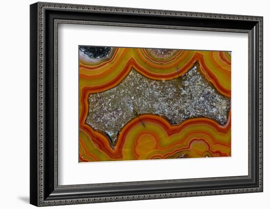 Banded Agate, Sammamish, Washington-Darrell Gulin-Framed Photographic Print