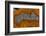 Banded Agate, Sammamish, Washington-Darrell Gulin-Framed Photographic Print