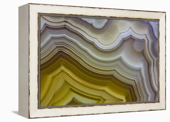 Banded Agate, Sammamish, Washington-Darrell Gulin-Framed Premier Image Canvas