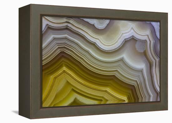 Banded Agate, Sammamish, Washington-Darrell Gulin-Framed Premier Image Canvas