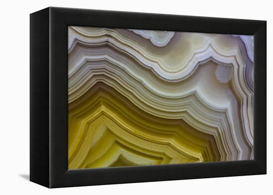 Banded Agate, Sammamish, Washington-Darrell Gulin-Framed Premier Image Canvas