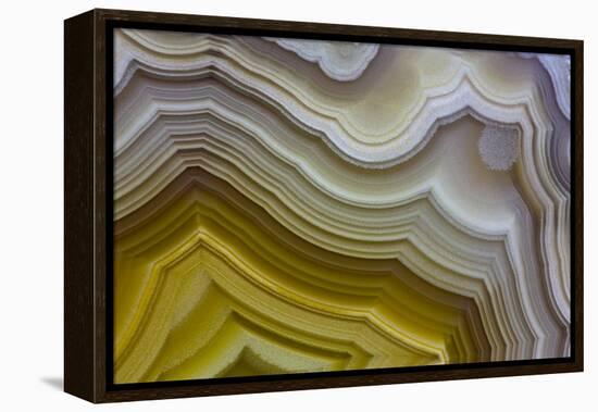 Banded Agate, Sammamish, Washington-Darrell Gulin-Framed Premier Image Canvas