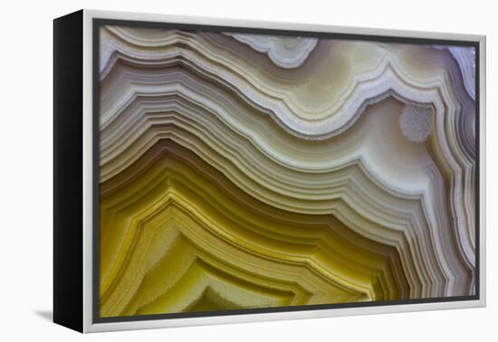 Banded Agate, Sammamish, Washington-Darrell Gulin-Framed Premier Image Canvas