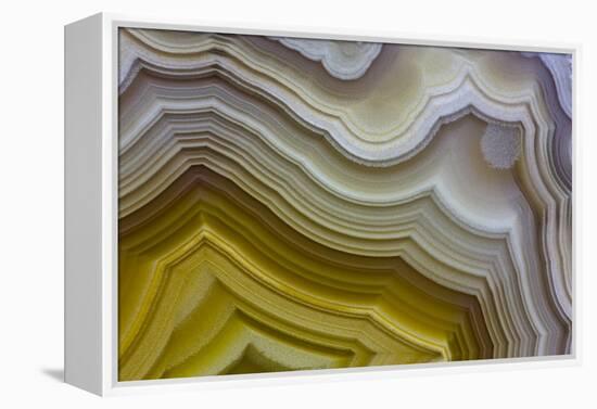 Banded Agate, Sammamish, Washington-Darrell Gulin-Framed Premier Image Canvas