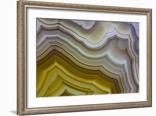 Banded Agate, Sammamish, Washington-Darrell Gulin-Framed Photographic Print