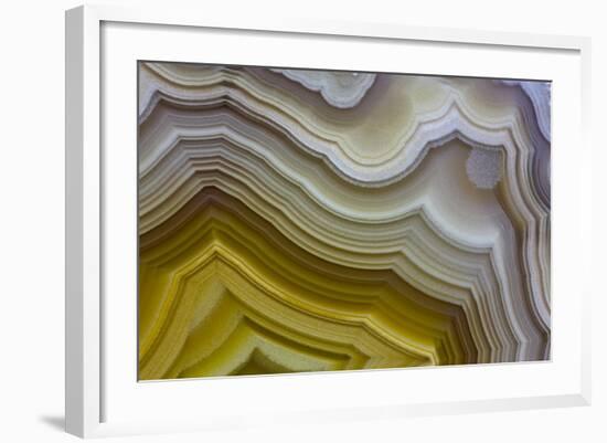 Banded Agate, Sammamish, Washington-Darrell Gulin-Framed Photographic Print