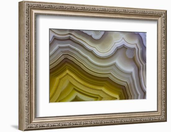 Banded Agate, Sammamish, Washington-Darrell Gulin-Framed Photographic Print