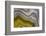 Banded Agate, Sammamish, Washington-Darrell Gulin-Framed Photographic Print